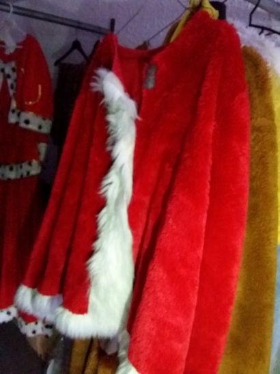 portant contenant costumes adultes