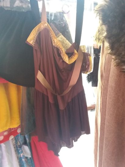 portant contenant 17 costumes adultes 
princesse
costume...
