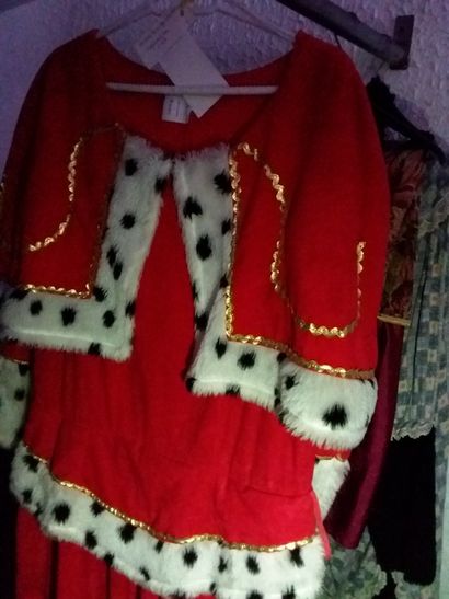 portant contenant costumes adultes