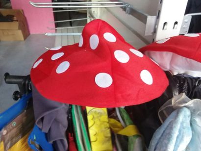portant 25 costumes enfant