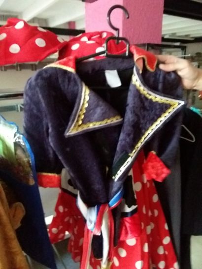 portant 10 costumes enfant
ours
zèbre
hippie
officier
vache...