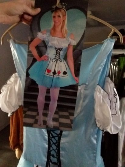 portant comprenant 15 costumes adulte et...