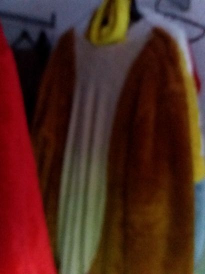 portant contenant costumes adultes