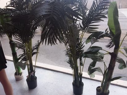 lot de 4 plantes artificiel