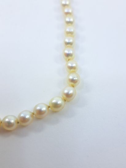 COLLIER de soixante-neuf perles en chute,...