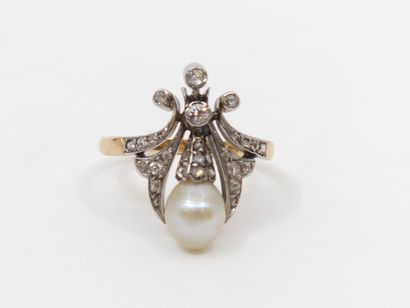 French work end of the XIXth century
HALF-PARARY...