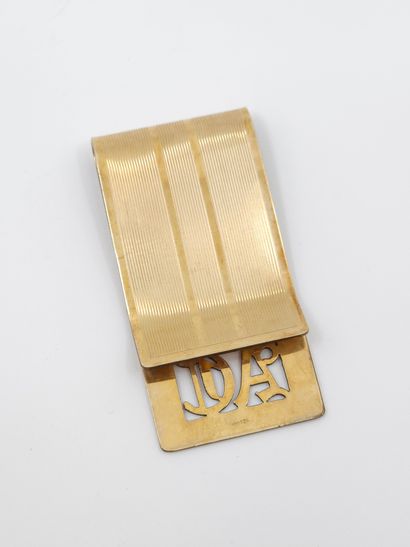 GOLDEN BILL PIN 12 kt 
Weight : 23,43 g