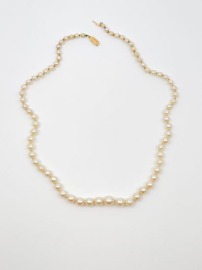 COLLAR OF FALLING PEARLS 
Damaged clasp