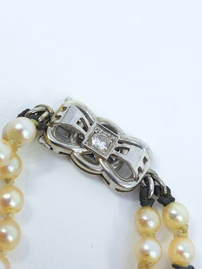 NECKLACE of cultured pearls in fall, clasp...