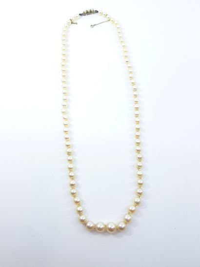 COLLIER de soixante-treize perles en chute...
