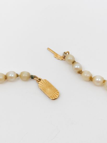 COLLAR OF FALLING PEARLS 
Damaged clasp