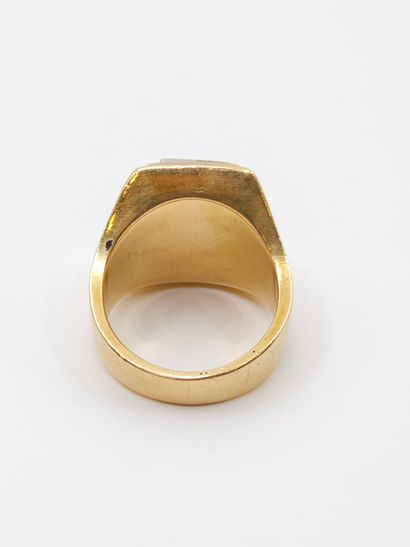 HORSE in yellow gold 750° monogrammed GH...