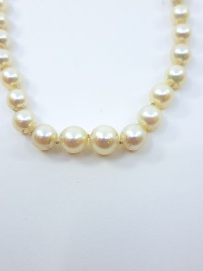 COLLIER de soixante-treize perles en chute...