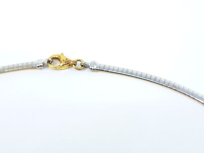 NECKLACE in two-tone gold 750° smooth snake...