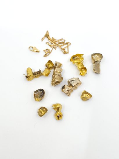 DEBRIS DENTAIRES en or jaune 750°
Poids :...