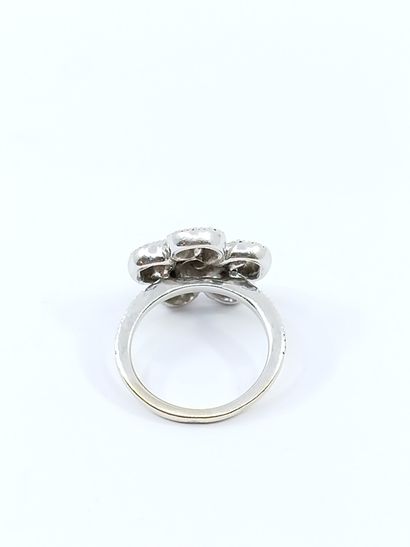 TRAVAIL FRANCAIS
BAGUE en or gris 750° à...