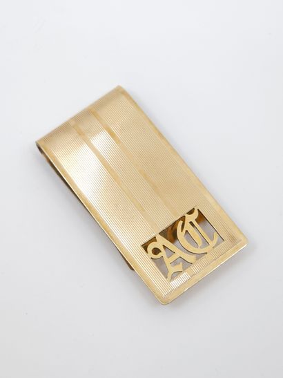 GOLDEN BILL PIN 12 kt 
Weight : 23,43 g