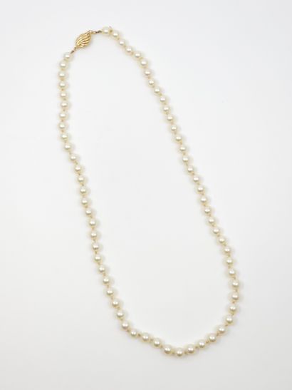 Collier de perle 
Fermoir en Or jaune 75...