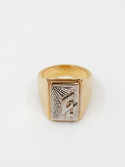 HORSE in yellow gold 750° monogrammed GH...