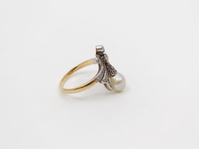 French work end of the XIXth century
HALF-PARARY...