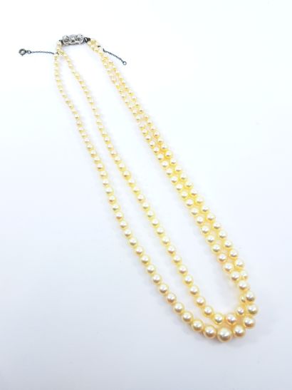 NECKLACE of cultured pearls in fall, clasp...