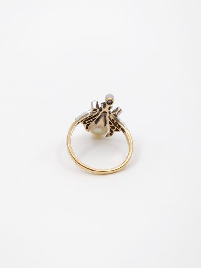 French work end of the XIXth century
HALF-PARARY...