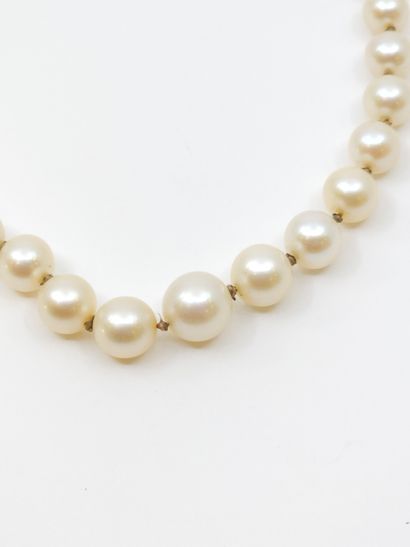 COLLIER de perles de culture en chute, fermoir...