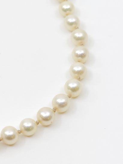 Collier de perle 
Fermoir en Or jaune 75...