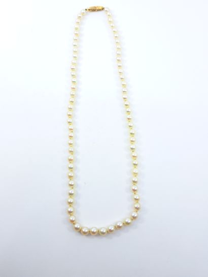 COLLIER de soixante-neuf perles en chute,...