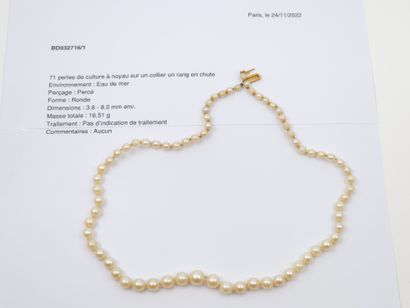 COLLAR OF FALLING PEARLS 
Damaged clasp