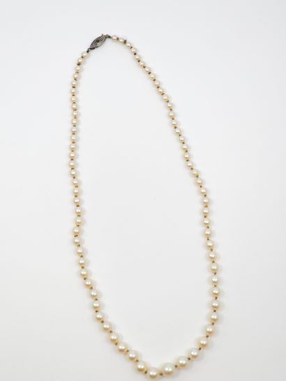 COLLIER de perles de culture en chute, fermoir...