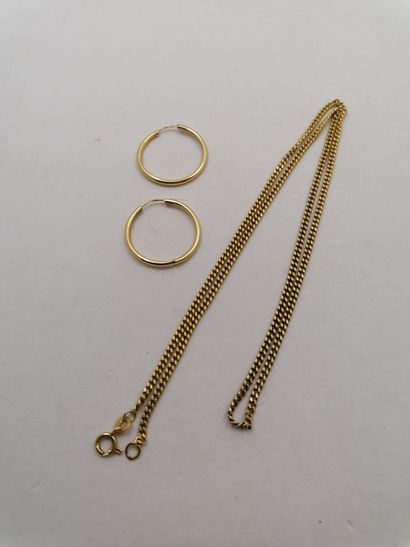1 Chain Gold 18kt 11,09 g 1 Pair of buckles...