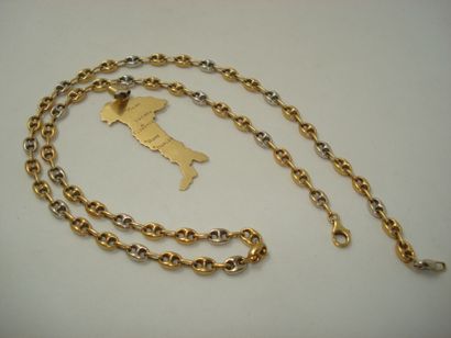 1 Pendant Gold 18kt 6,51 g 1 Chain Gold 3...