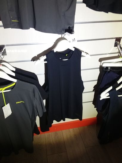 deux debardeurs taille L
un short taille...