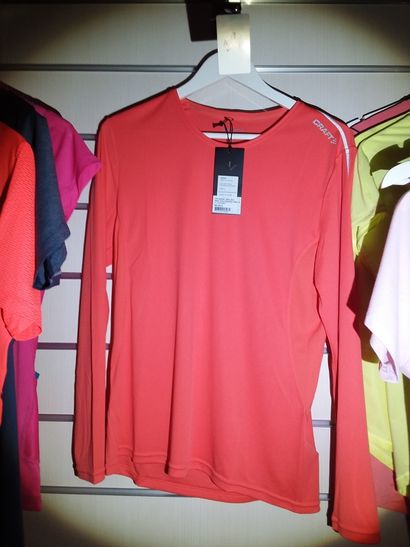3 t-shirts taillé L
1 débardeur taille L