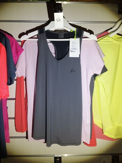 3 t-shirts taillé L
1 débardeur taille L