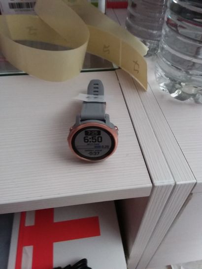 montre Garmin