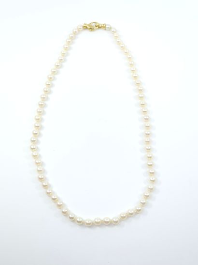 COLLIER de perles, fermoir en or jaune 7...