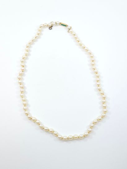 COLLIER de perles de culture choker, fermoir...