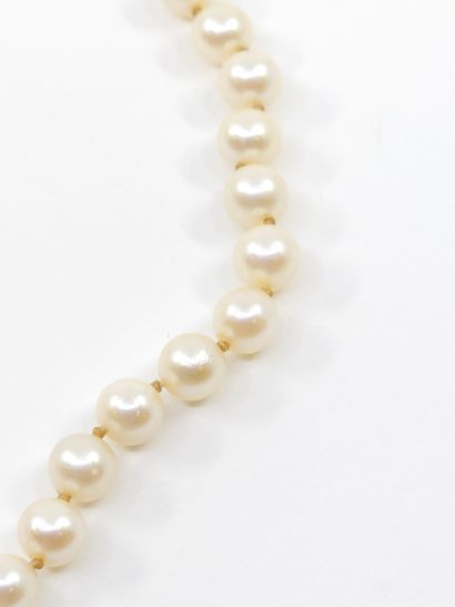 COLLIER de perles de culture choker, fermoir...