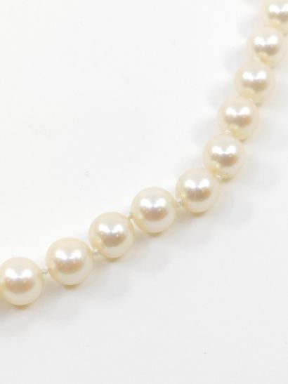 COLLIER de perles en chute fermoir à cliquet...
