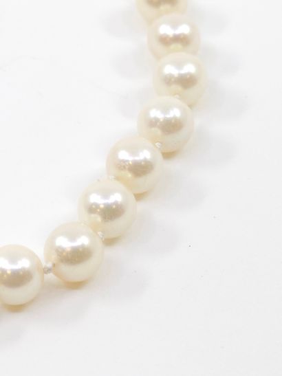 COLLIER de perles, fermoir en or jaune 7...