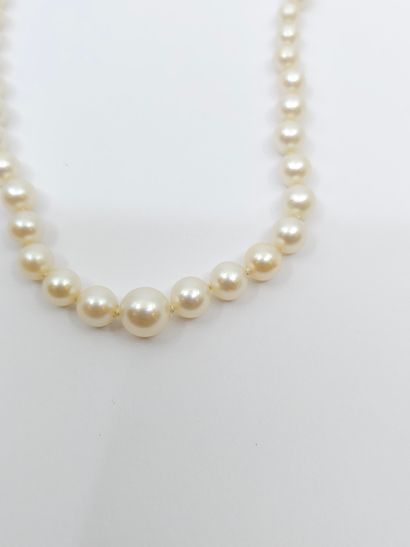 COLLIER de perles de culture en chute, fermoir...