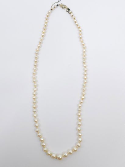COLLIER de perles de culture en chute, fermoir...