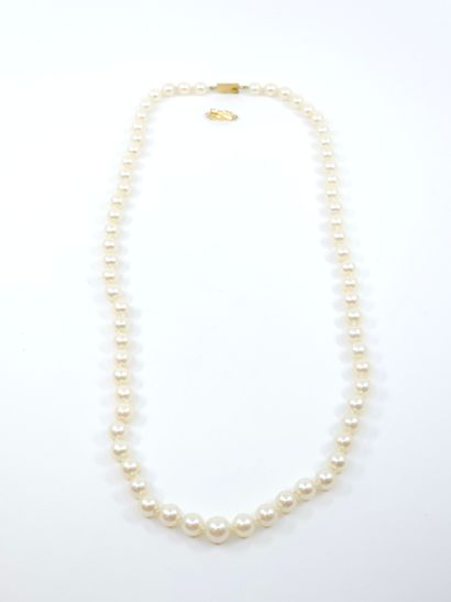 COLLIER de perles en chute fermoir à cliquet...