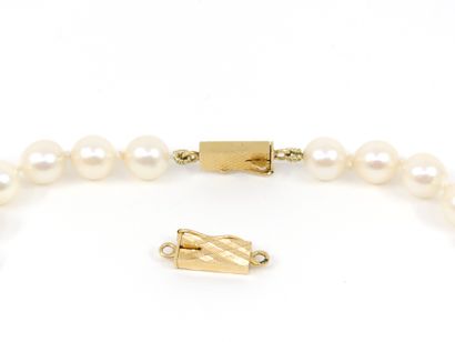 COLLIER de perles en chute fermoir à cliquet...