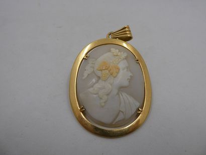 1 Pendentif Or 18kt et divers 19,26g camée...