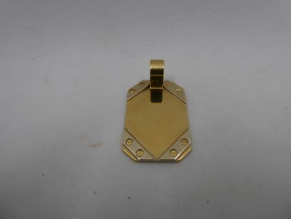 1 Pendentif Or 2 tons 18kt 13,67g 
