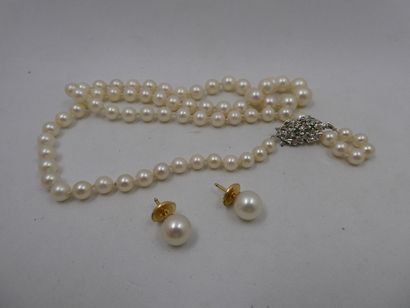 1 Paire de boucles Or 18kt et perles 2,83g...