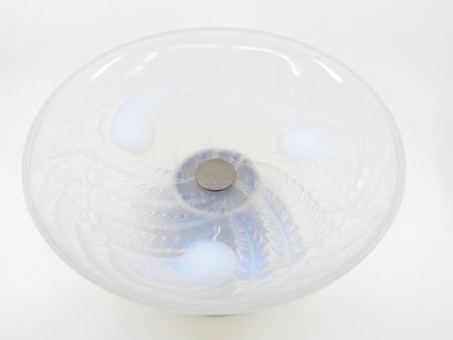 ETLING France
Coupe circulaire en verre pressé...